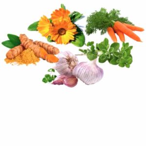 Naturprodukte-Wachteln