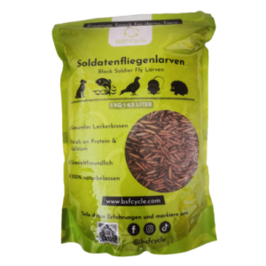 Soldatenfliegenlarven