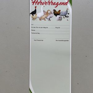 Urkunde "Hervorragend"  10 Stück