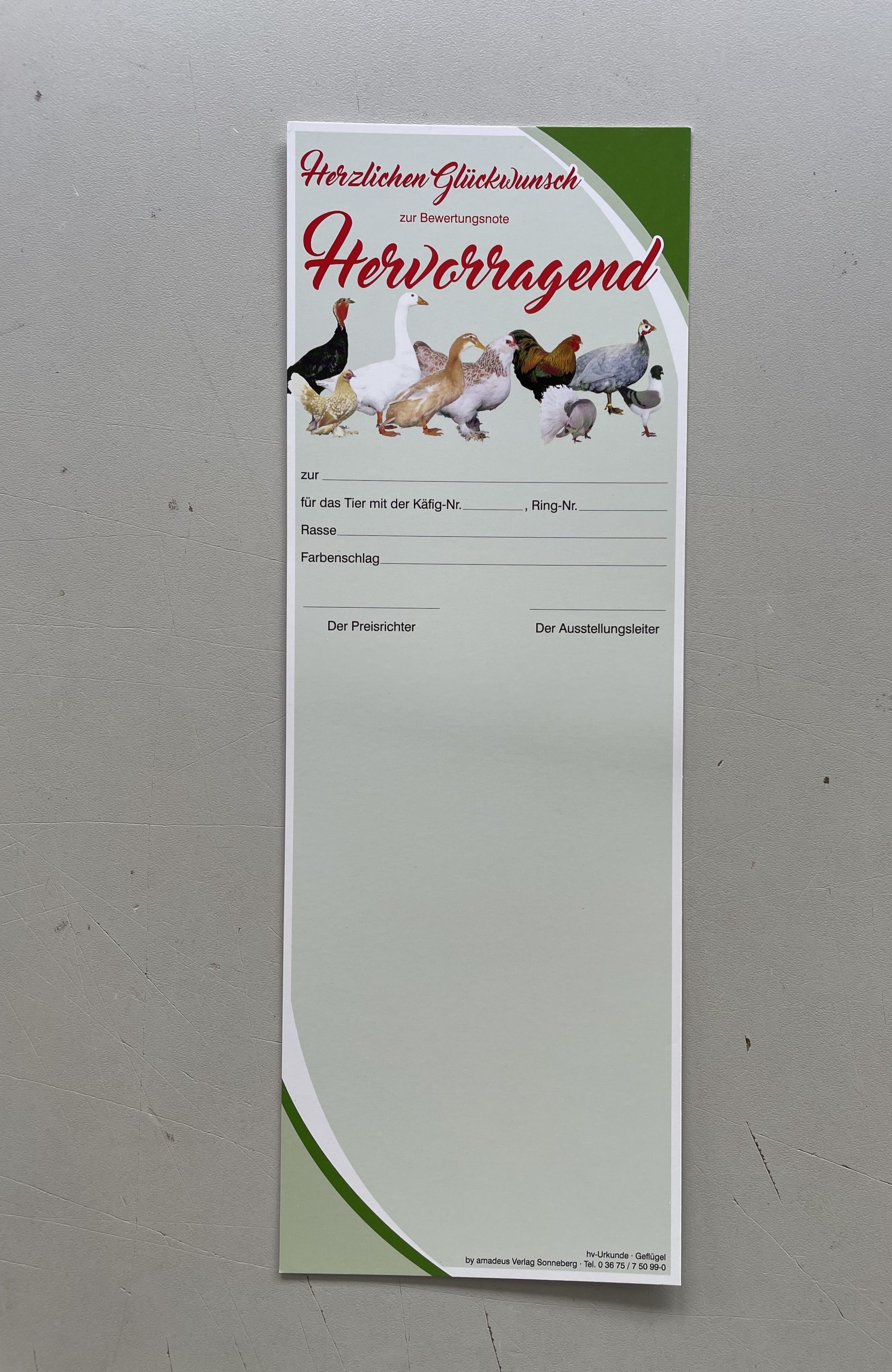Urkunde "Hervorragend" 10 Stück
