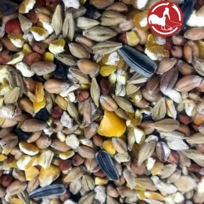 Premium_Körnermix501_501