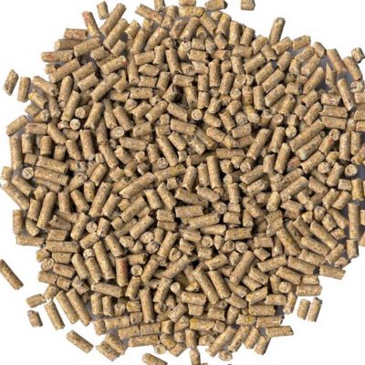 Scharrelkorrel_Legepellelts