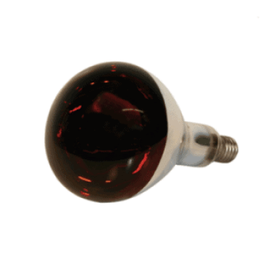 infrarotlampe
