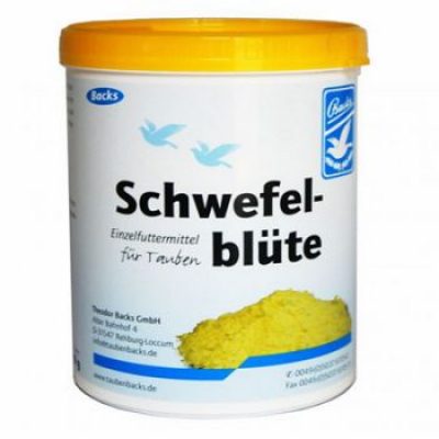 schwefelbluete_5