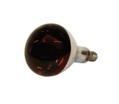 infrarotlampe